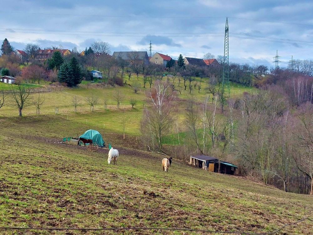 Ein bisschen Idylle, ein bisschen Glück der Erde.