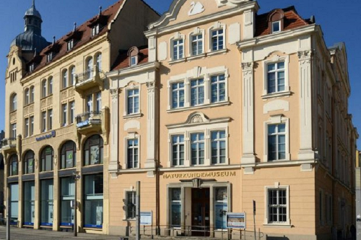 Das Museum am zentral gelegenen Marienplatz gibt es bereits seit 1860.