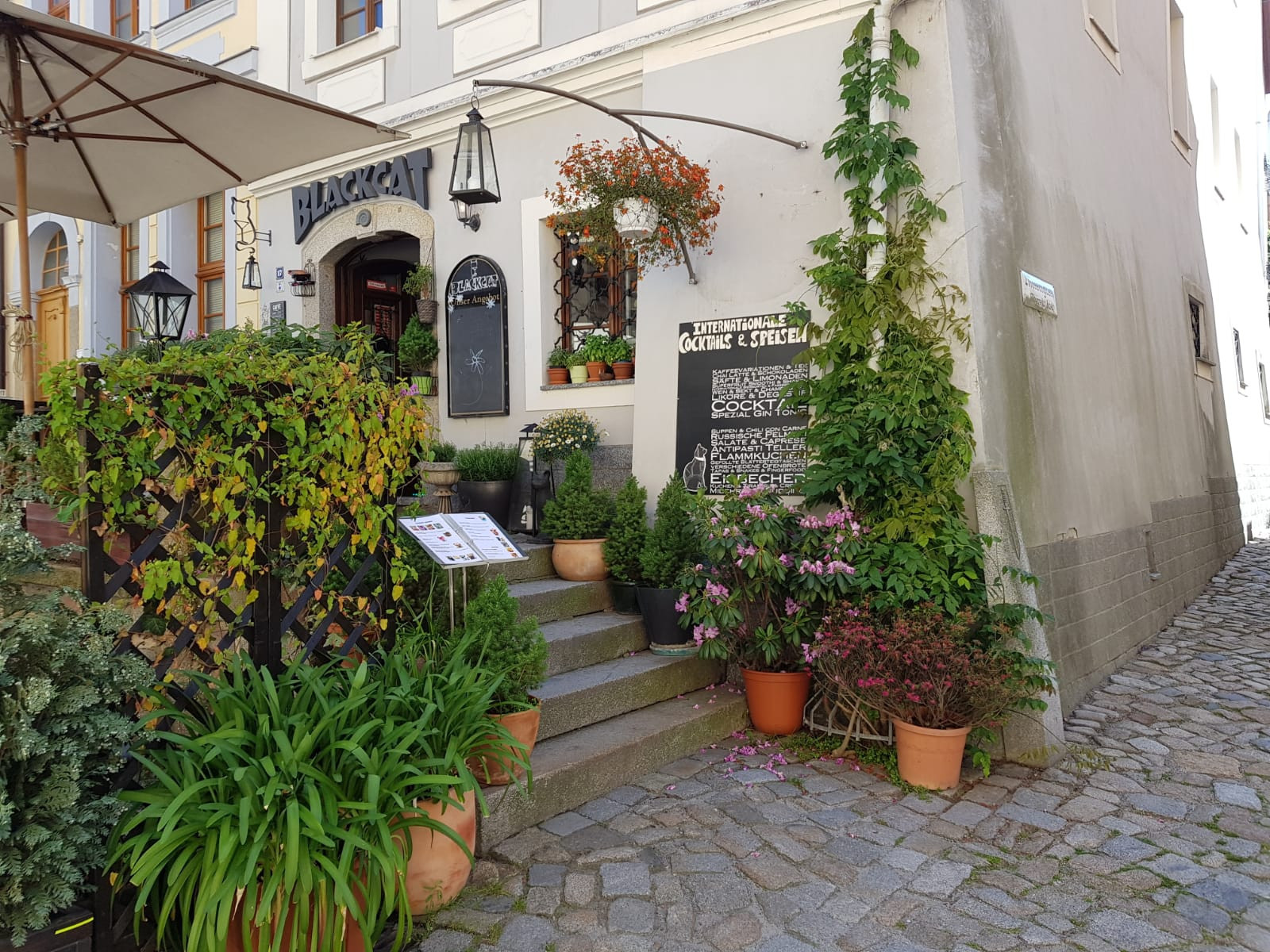 Der Eingang zum Black Cat an der Bautzener Schloßstraße in der Altstadt.