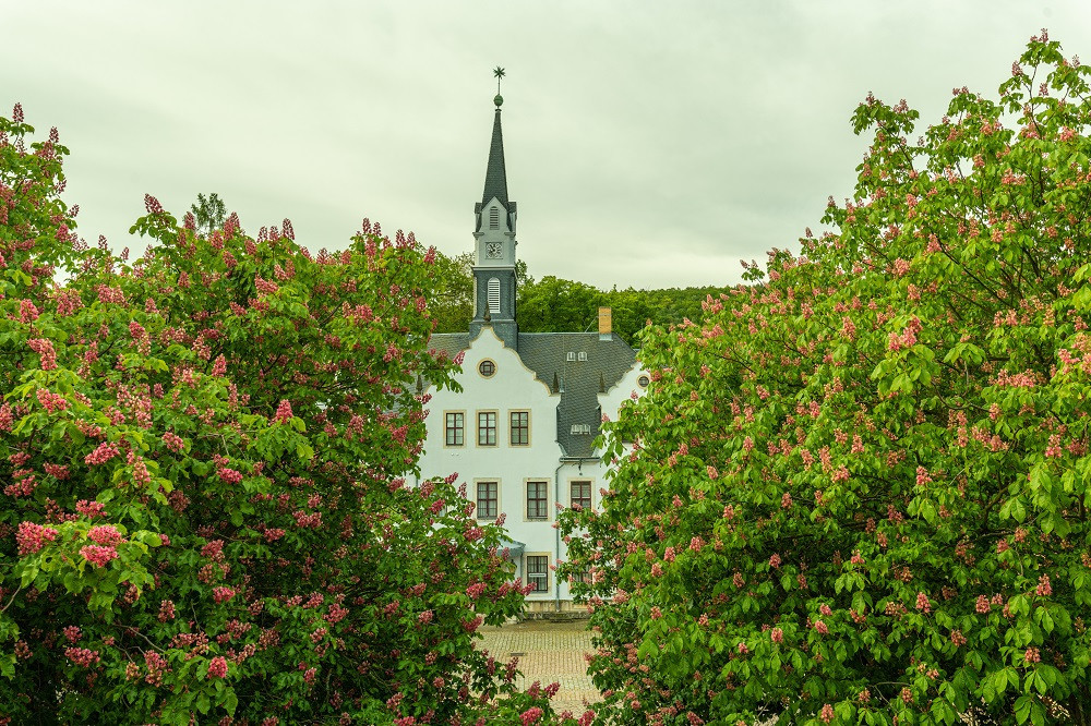 Schloss Burgk beheimatet die Städtischen Sammlungen Freital