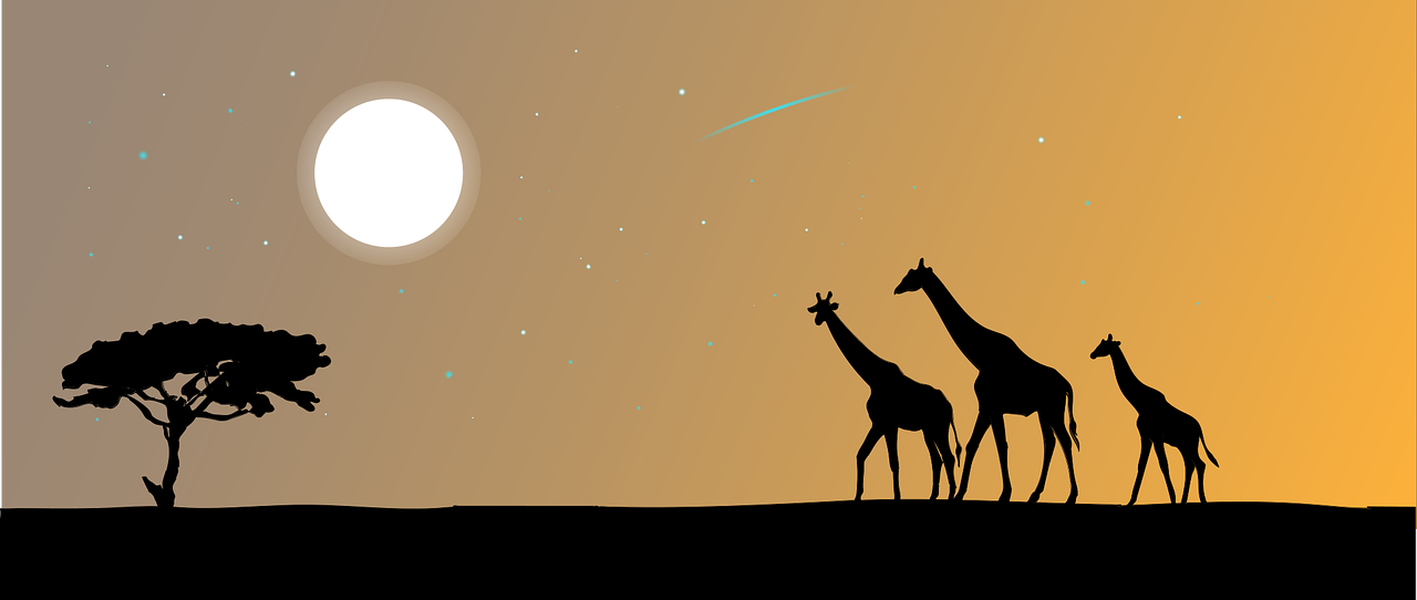 Silhouetten von zwei Giraffen und einem Baum vor gelbem Sternenhimmel in der Savanne.